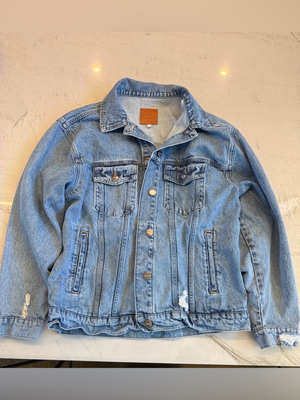 Anine Bing Rory Denim Jacket